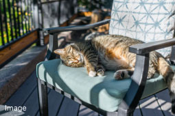 ルイエ伊丹御願塚3丁目